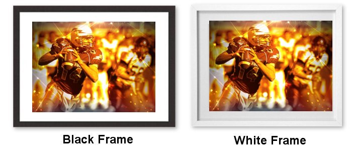 Framed Print